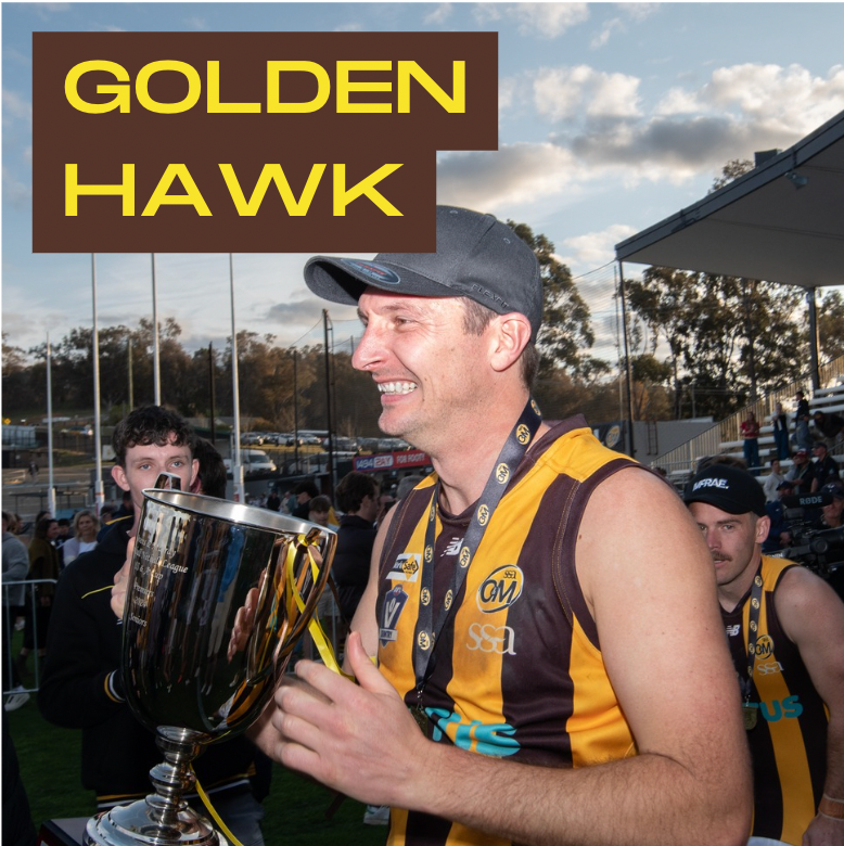 GOLDEN HAWK